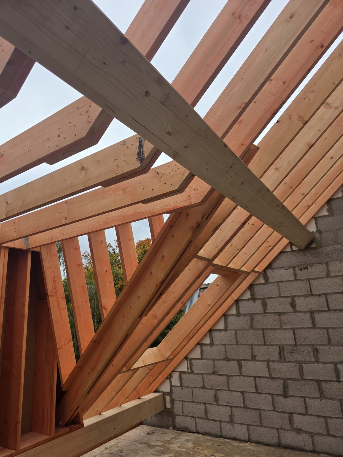 New structural rafters seen from inside
